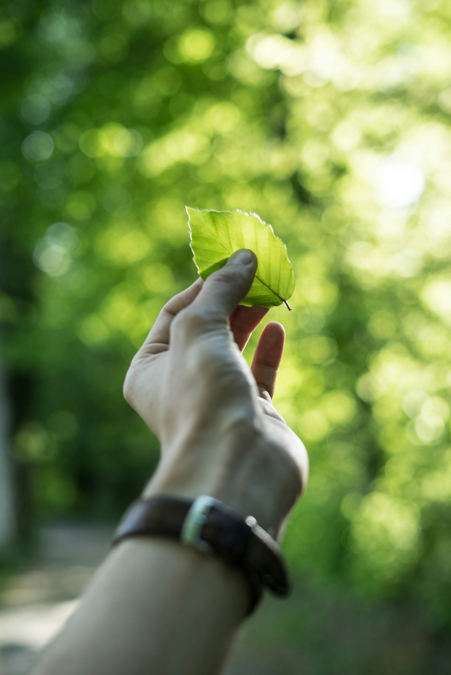 Empowering Communities to Tackle Environmental Challenges